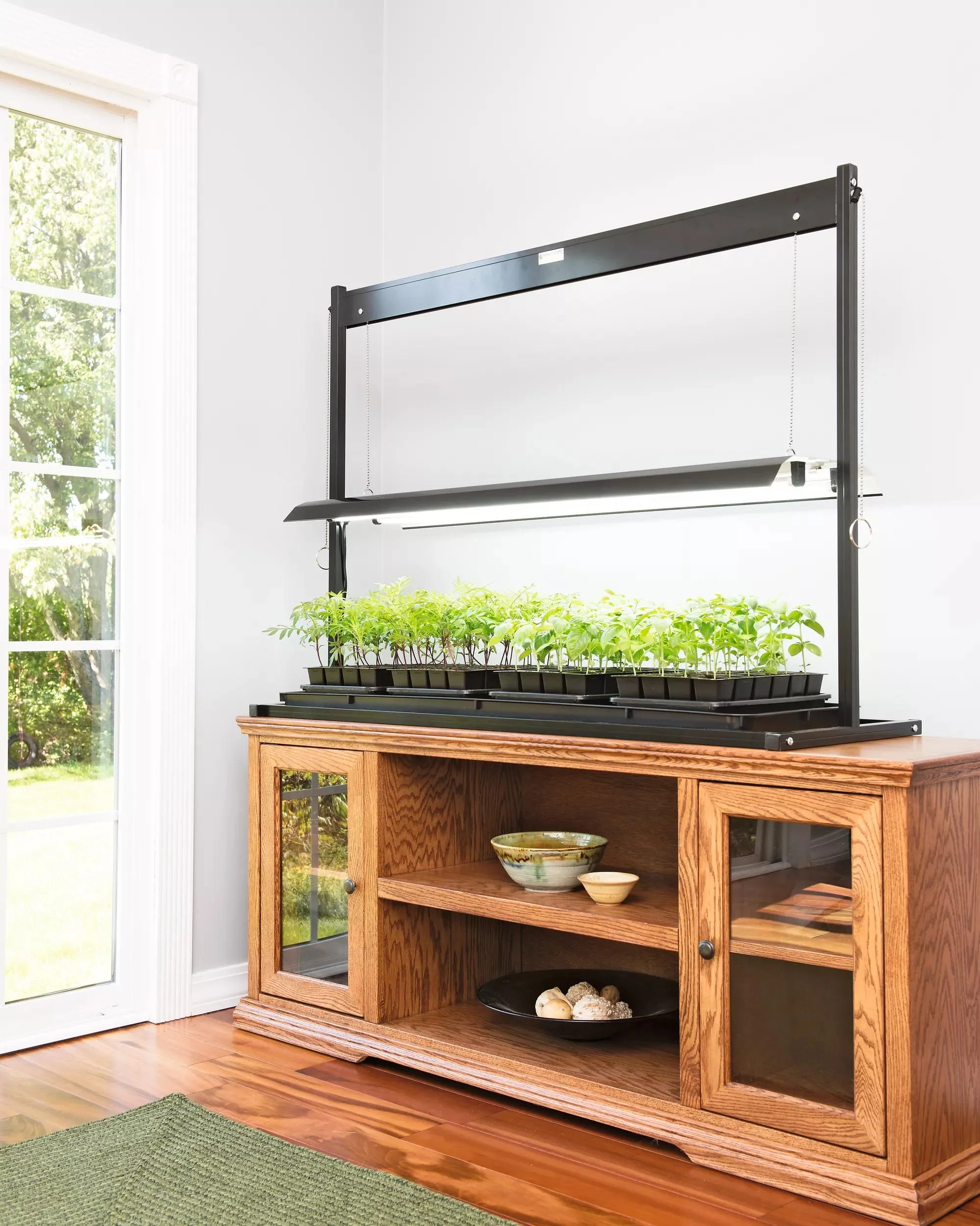 Tabletop Grow Lights